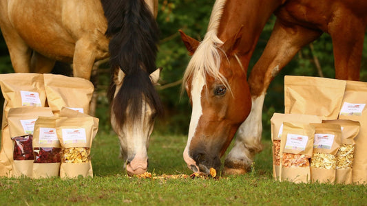 Apfelchips für Pferde: Gesunde Leckerei oder riskanter Snack?