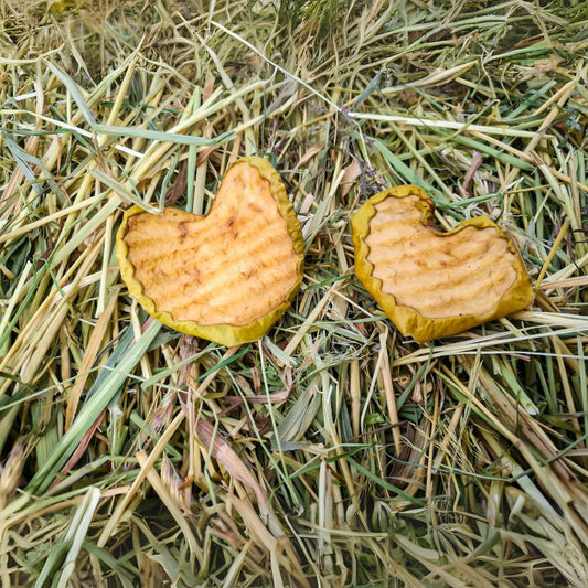 Hundetraining mit Gemüse statt Fleisch – eine sinnvolle Alternative?