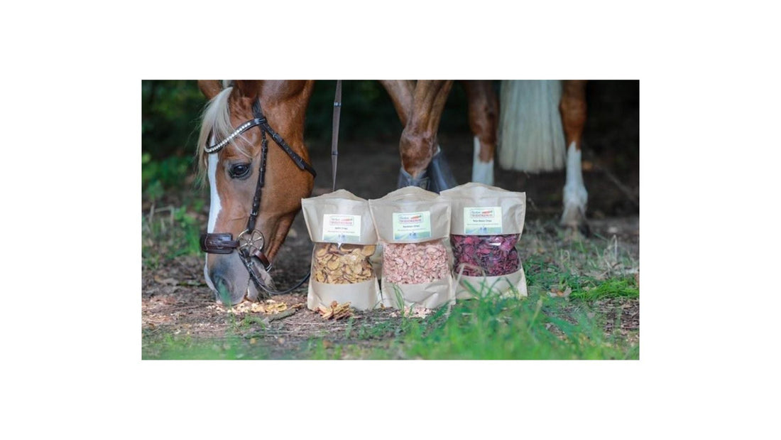 Futterumstellung auf natürliche Snacks – was bei Hund, Pferd und Co. zu beachten ist