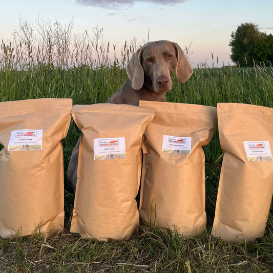 Neue Sorten testen – so vermeidest du Futterverweigerung bei Hund und Co.