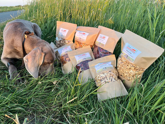 Hund mit Trockengemüse von Nordsee Trockengemüse