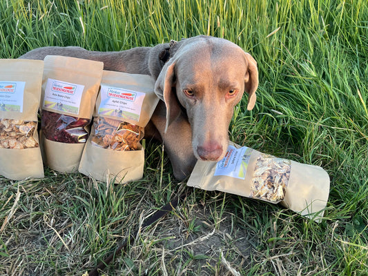 Hund mit Nordsee Trockengemüse