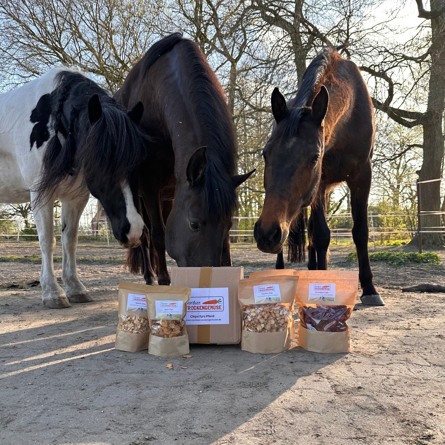 Kennenlernpaket