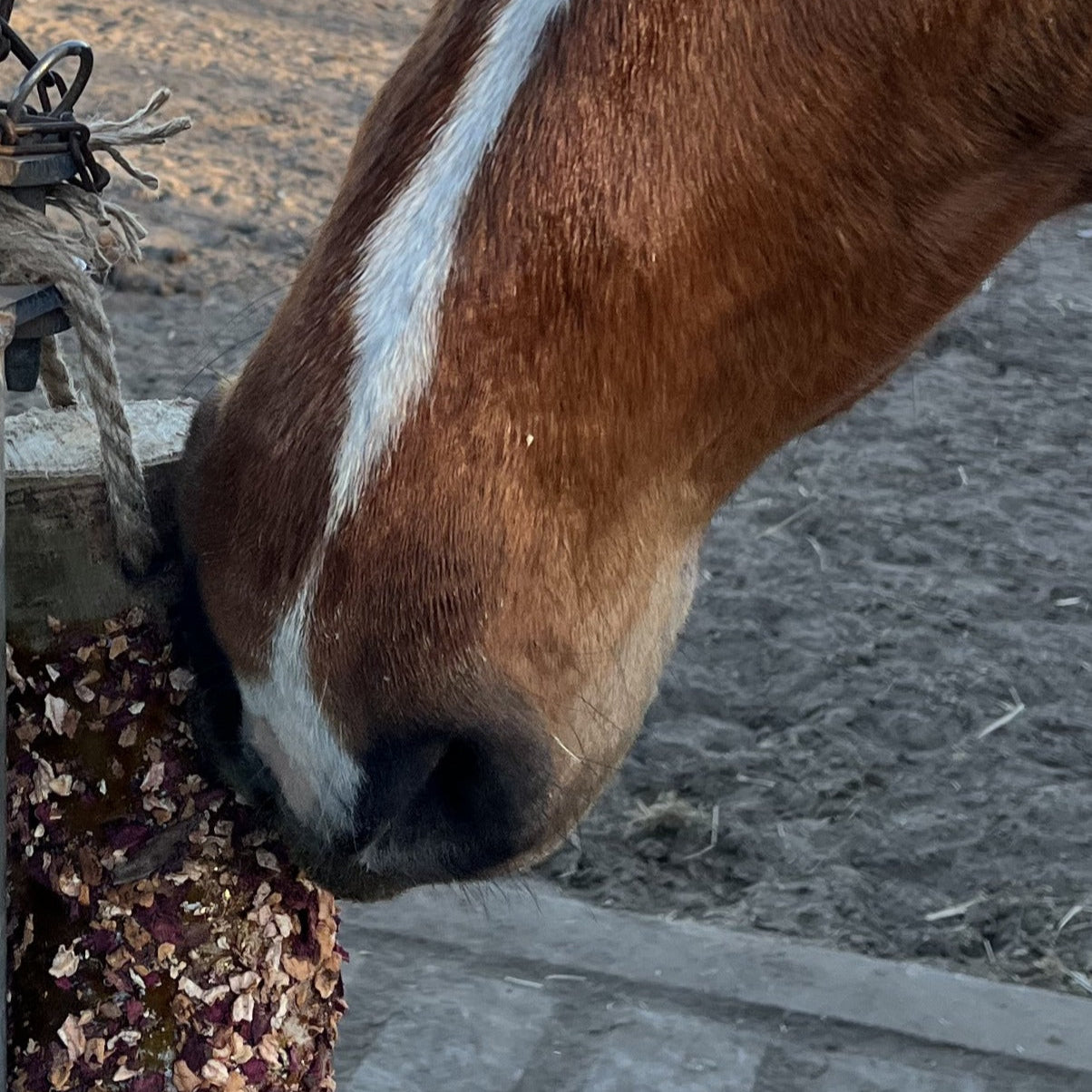 Rundum-Sorglos-Paket