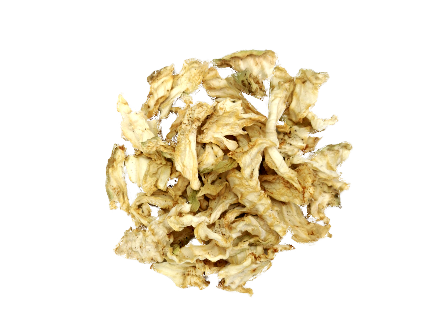 Sellerie Chips