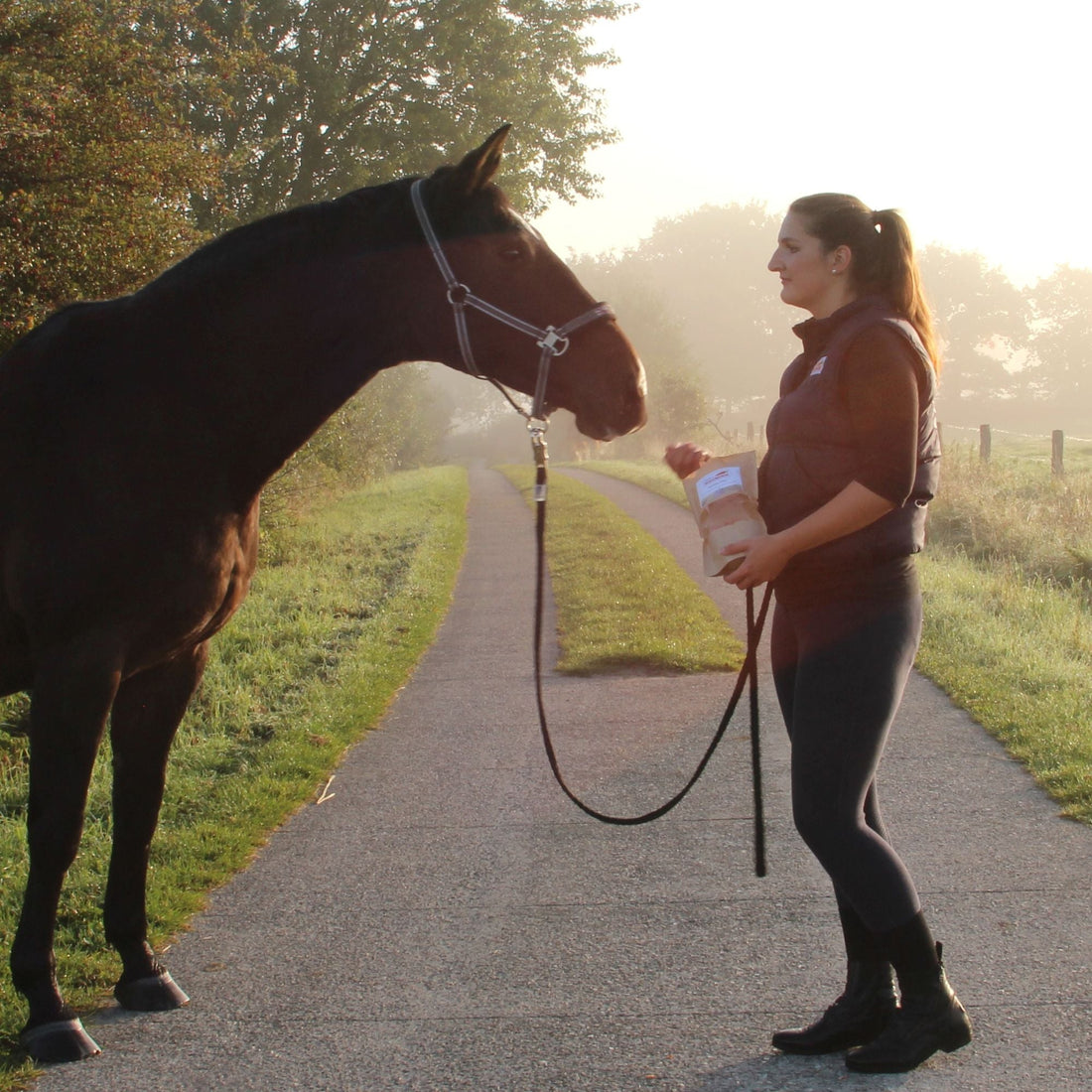 Stallroutine mit gesunden Snacks verbessern: Wie kleine Belohnungen für Motivation und Struktur sorgen