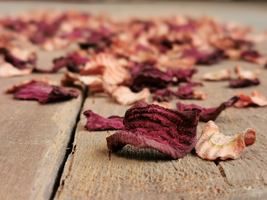 Gemüsechips für Haustiere selbst herstellen – lohnt sich das?