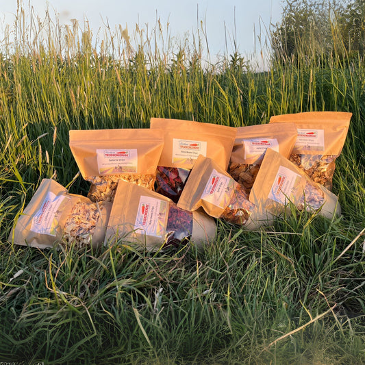 Nordsee Trockengemüse Snacks auf einer Wiese aufgereiht