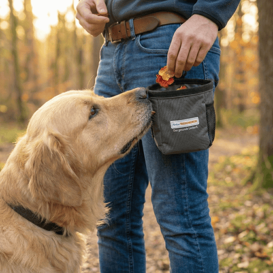 BARF bei Hund Allergie: So gehst du die Ausschlussdiät richtig an