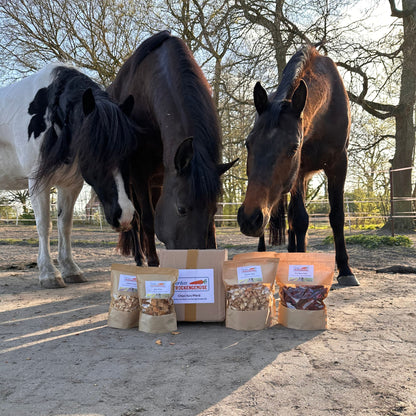 Kennenlernpaket