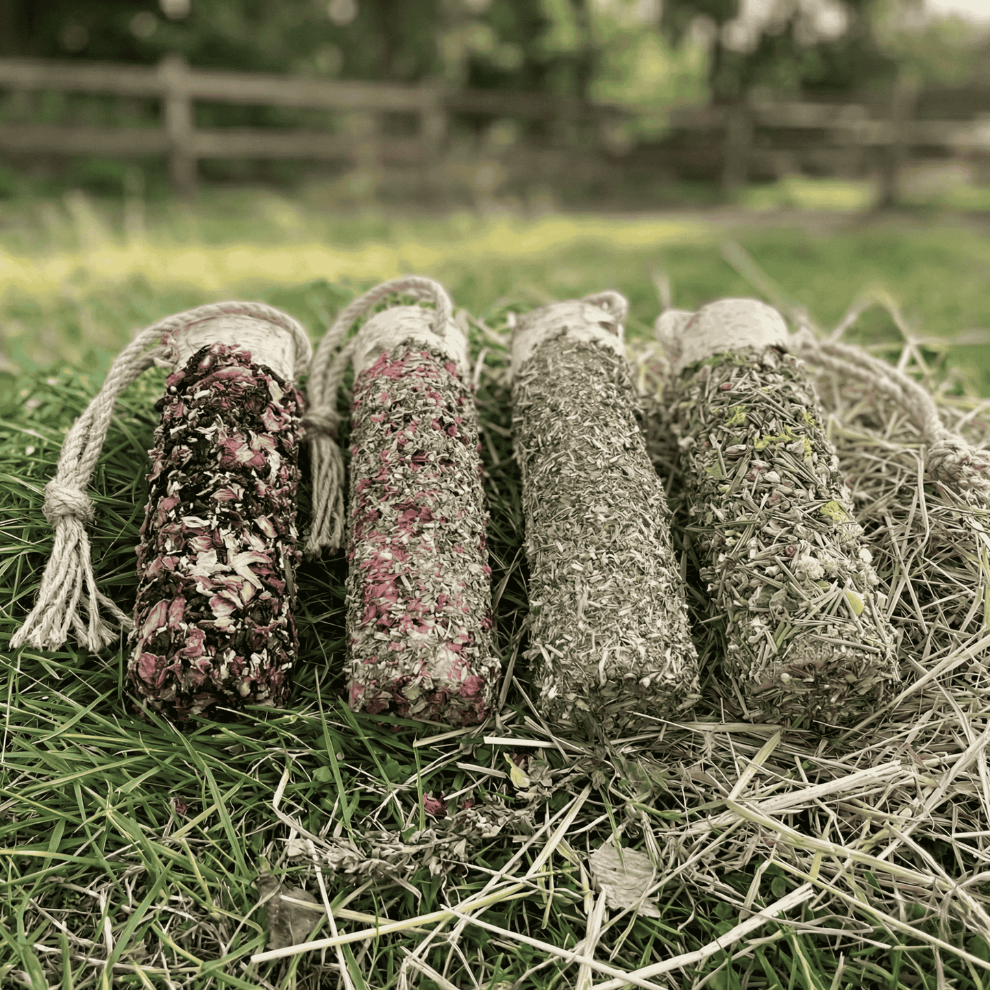 Knabberholz-Quartett