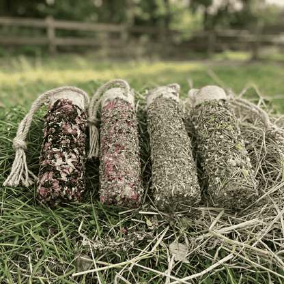 Knabberholz-Quartett