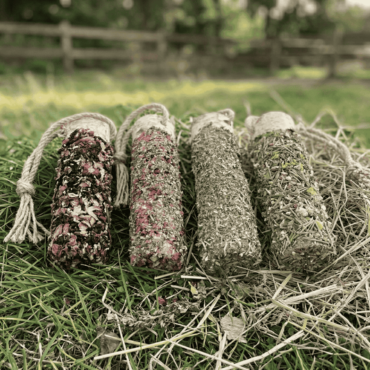 Knabberholz-Quartett