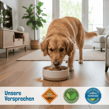 BARFit Gemüse-Mix - Der gesunde Gemüsemix für Hunde