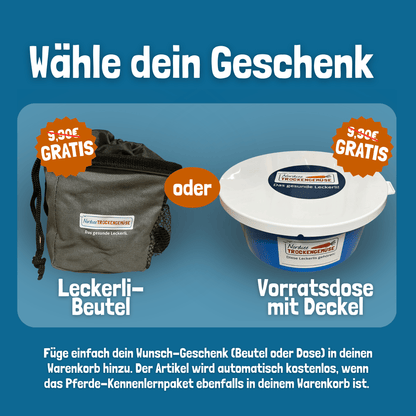 Pferde-Kennenlernpaket