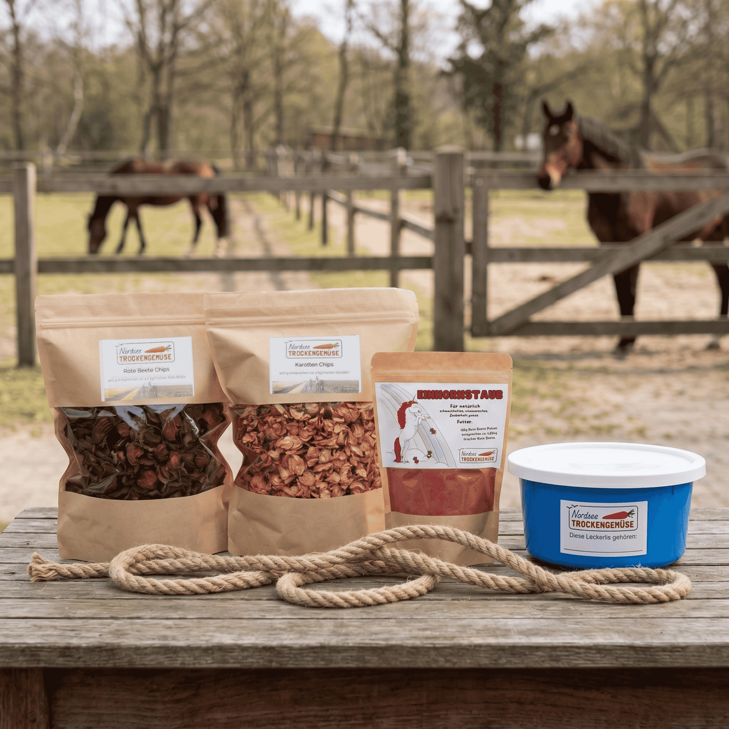 Pferde-Sommerpaket S – Eiskalte Abkühlung