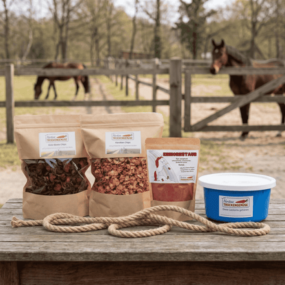 Pferde-Sommerpaket S – Eiskalte Abkühlung