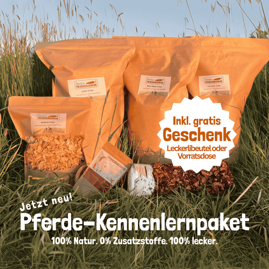 Pferde-Kennenlernpaket