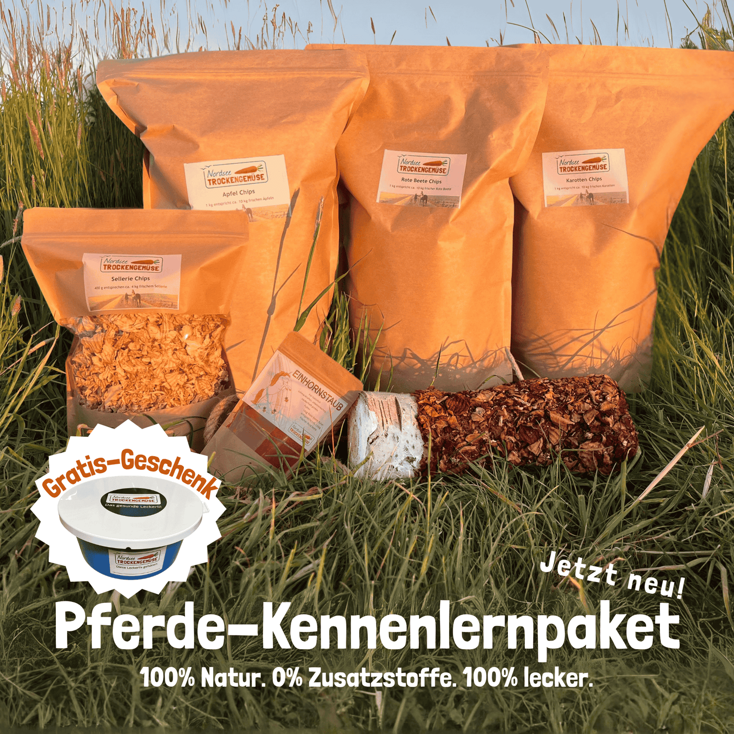 Pferde-Kennenlernpaket + gratis Vorratsdose